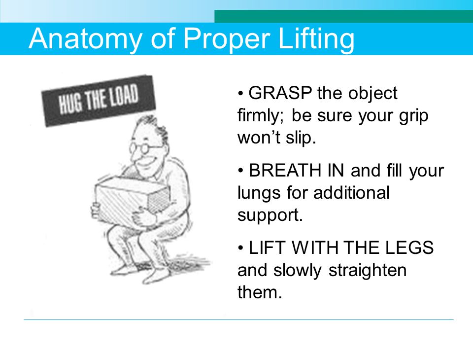 Anatomy of Proper Lifting GRASP the object firmly; be sure your grip won’t slip.