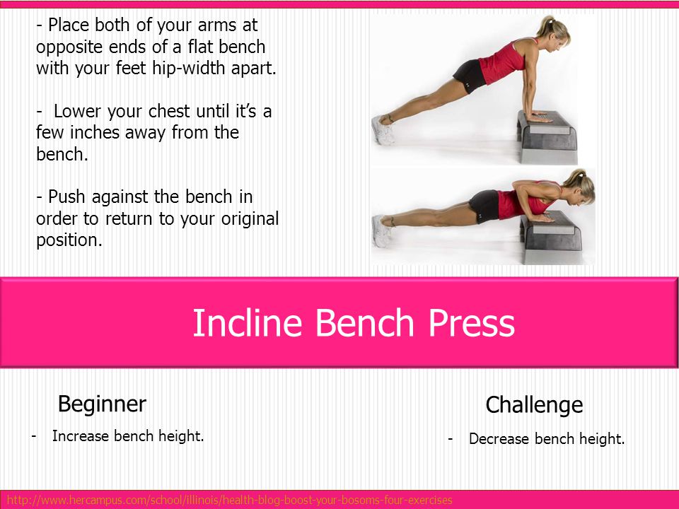 - Place both of your arms at opposite ends of a flat bench with your feet hip-width apart.