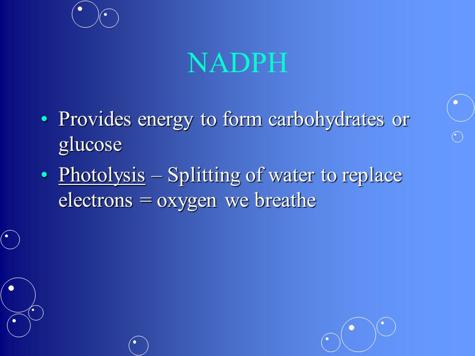 NADPH Provides energy to form carbohydrates or glucoseProvides energy to form carbohydrates or glucose Photolysis – Splitting of water to replace electrons = oxygen we breathePhotolysis – Splitting of water to replace electrons = oxygen we breathe