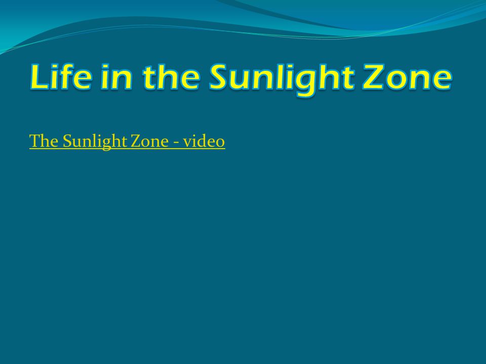 The Sunlight Zone - video