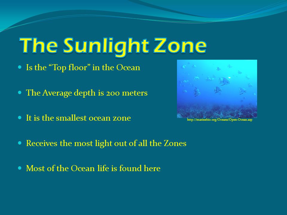 Is the Top floor in the Ocean The Average depth is 200 meters It is the smallest ocean zone   Receives the most light out of all the Zones Most of the Ocean life is found here