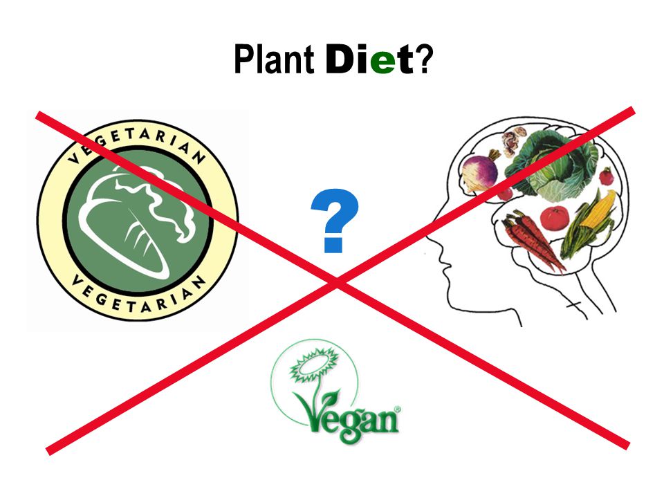 Plant Diet