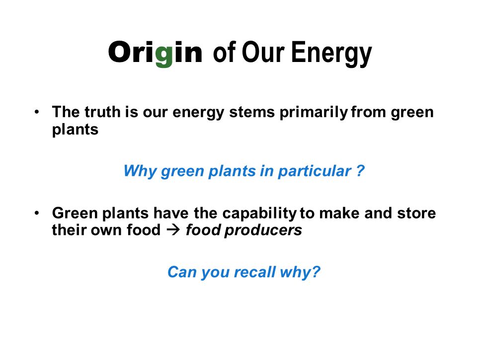 The truth is our energy stems primarily from green plants Why green plants in particular .