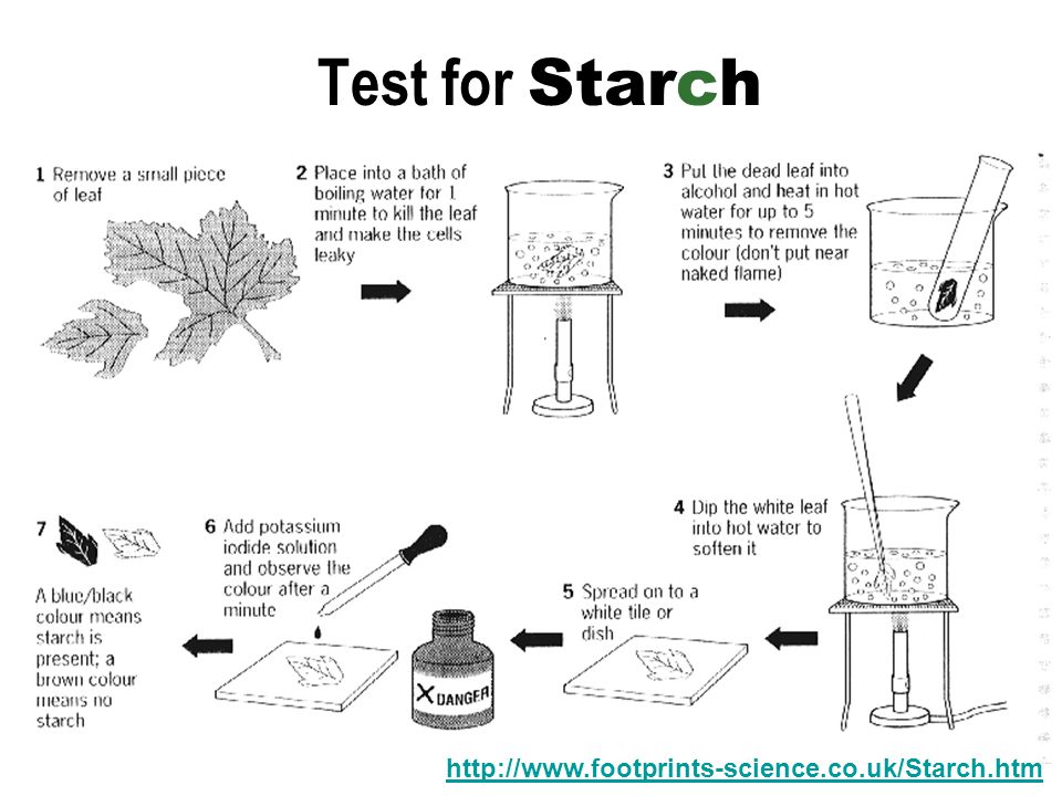 Test for Starch