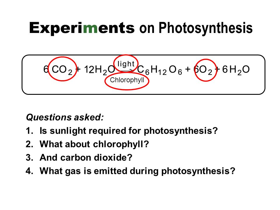 Experiments on Photosynthesis Questions asked: 1.Is sunlight required for photosynthesis.