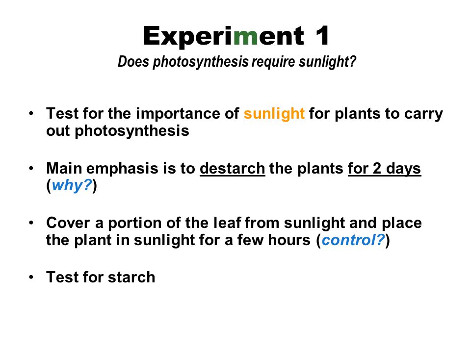 Experiment 1 Does photosynthesis require sunlight.