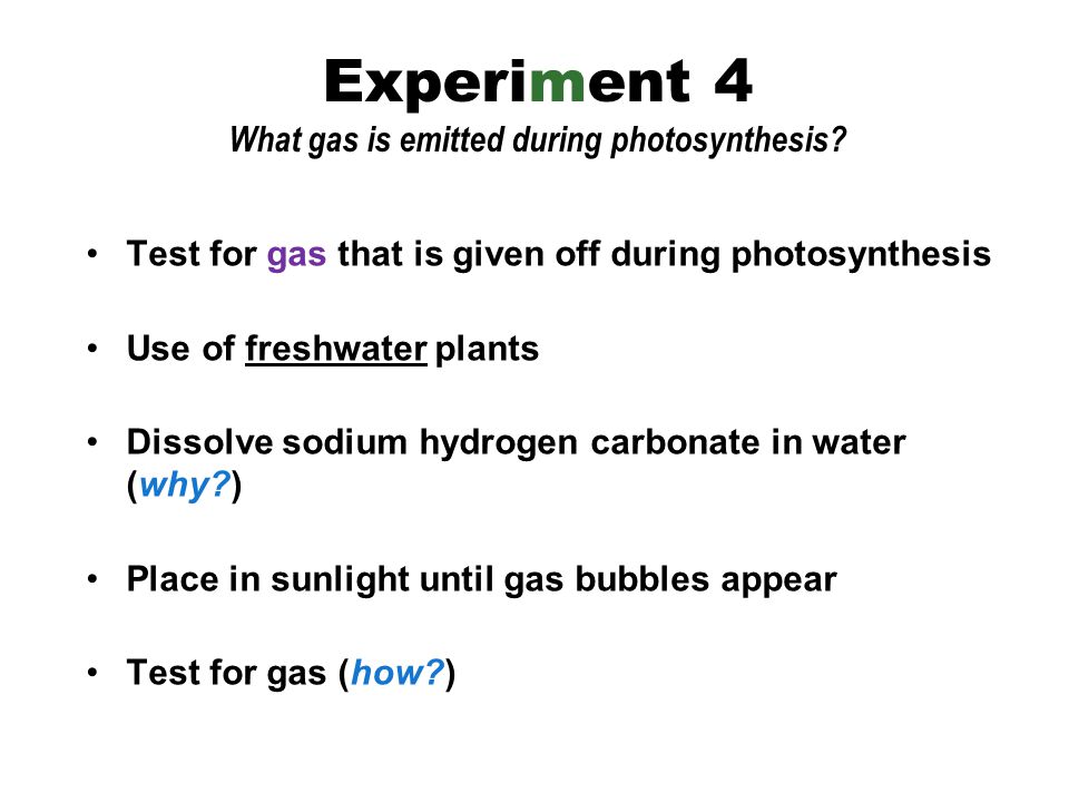 Test for gas that is given off during photosynthesis Use of freshwater plants Dissolve sodium hydrogen carbonate in water (why ) Place in sunlight until gas bubbles appear Test for gas (how ) Experiment 4 What gas is emitted during photosynthesis