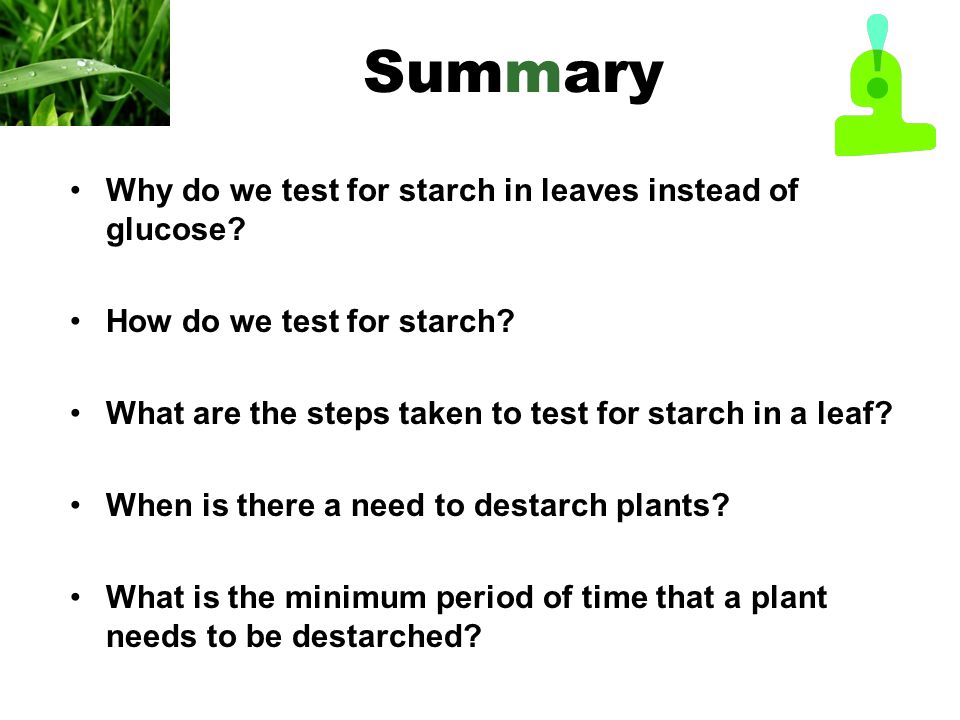 Why do we test for starch in leaves instead of glucose.