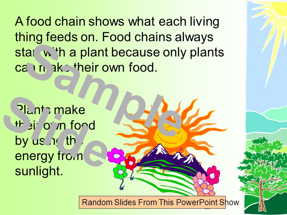 A food chain shows what each living thing feeds on.