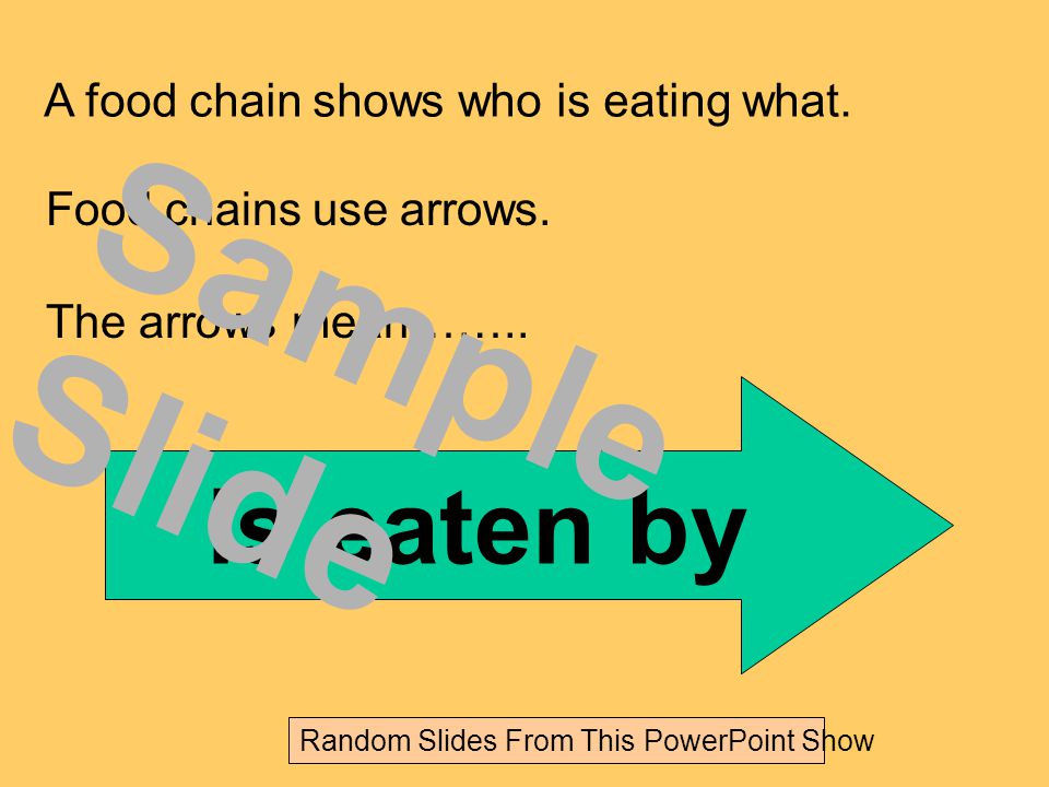 A food chain shows who is eating what. Food chains use arrows.