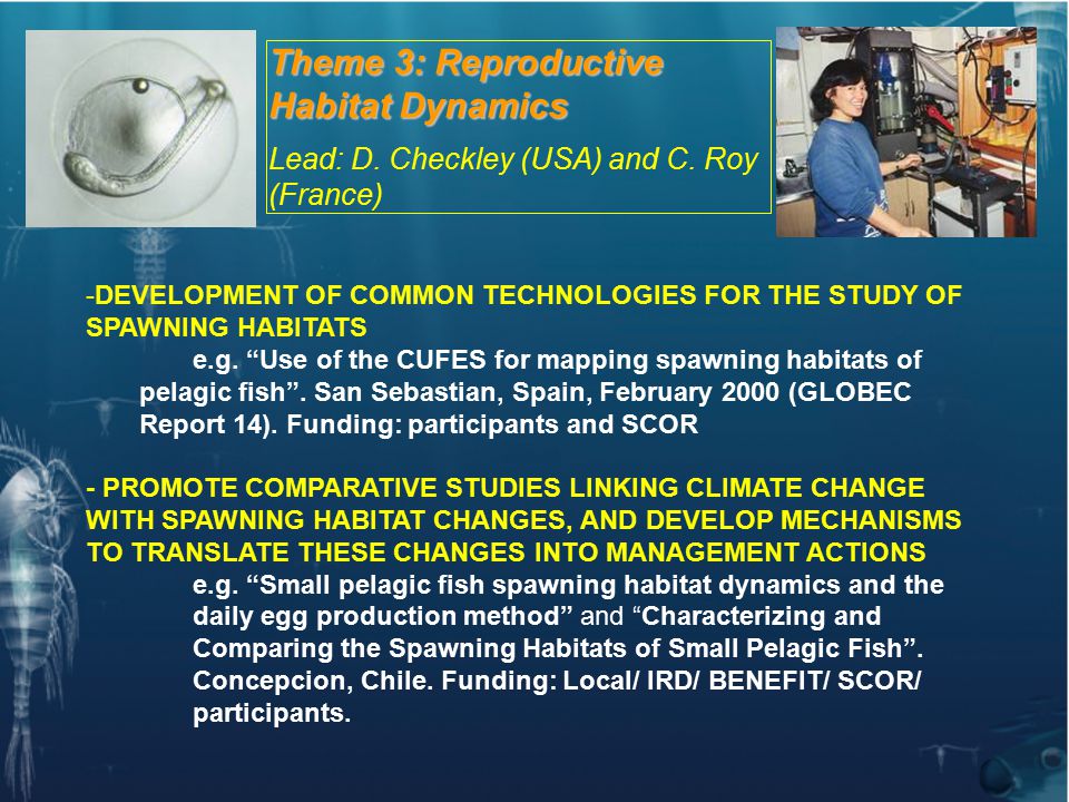 Theme 3: Reproductive Habitat Dynamics Lead: D. Checkley (USA) and C.