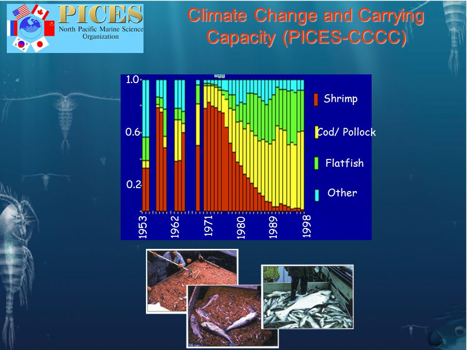 Climate Change and Carrying Capacity (PICES-CCCC) 1979 Shrimp Cod/ Pollock Flatfish Other