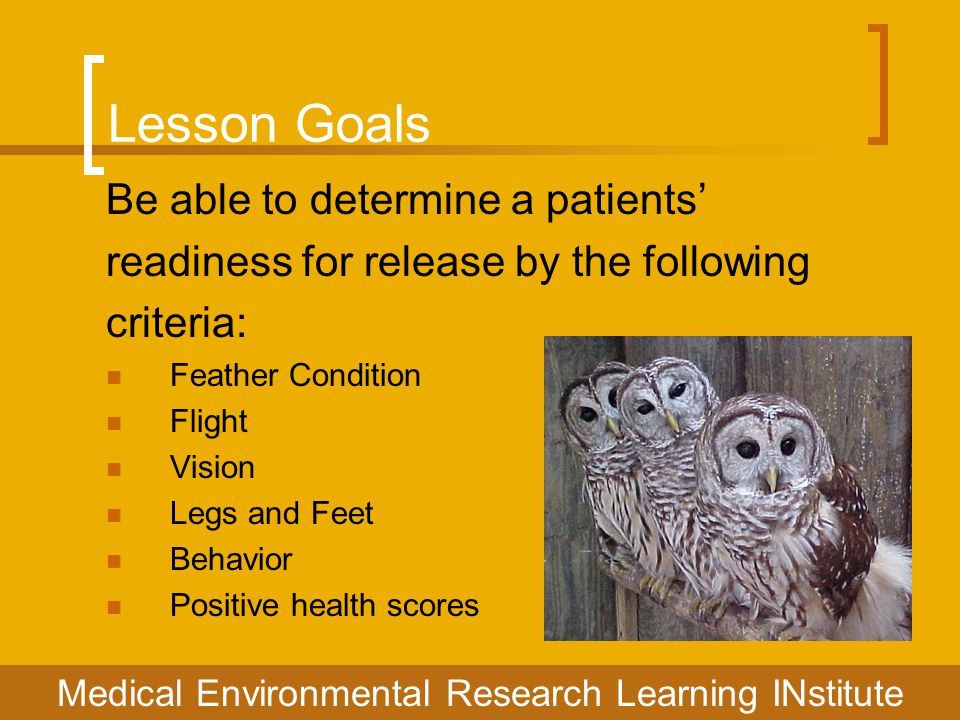 Lesson Goals Be able to determine a patients’ readiness for release by the following criteria: Feather Condition Flight Vision Legs and Feet Behavior Positive health scores Medical Environmental Research Learning INstitute
