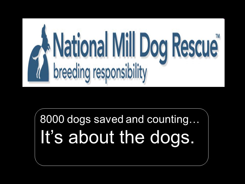 N ational M ill D og R escue dogs saved and counting… It’s about the dogs.