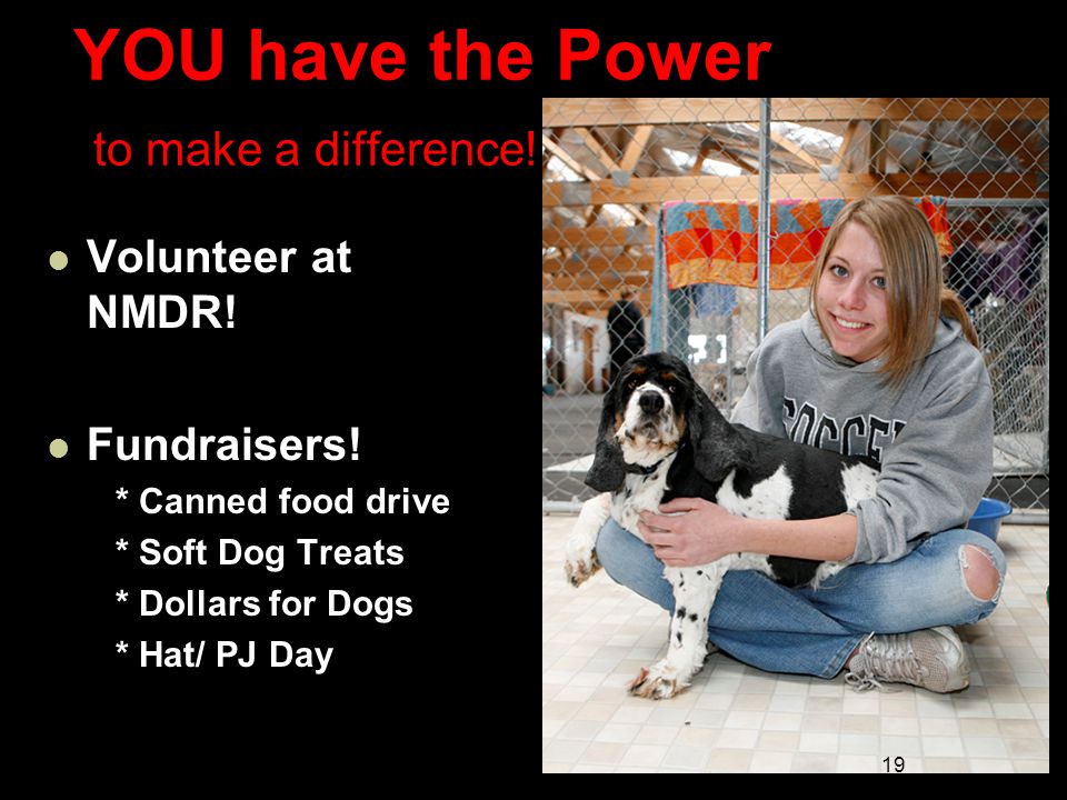 YOU have the Power to make a difference. Volunteer at NMDR.
