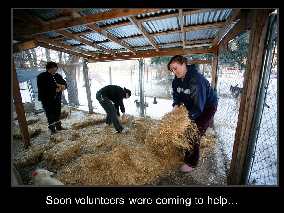 Soon volunteers were coming to help…