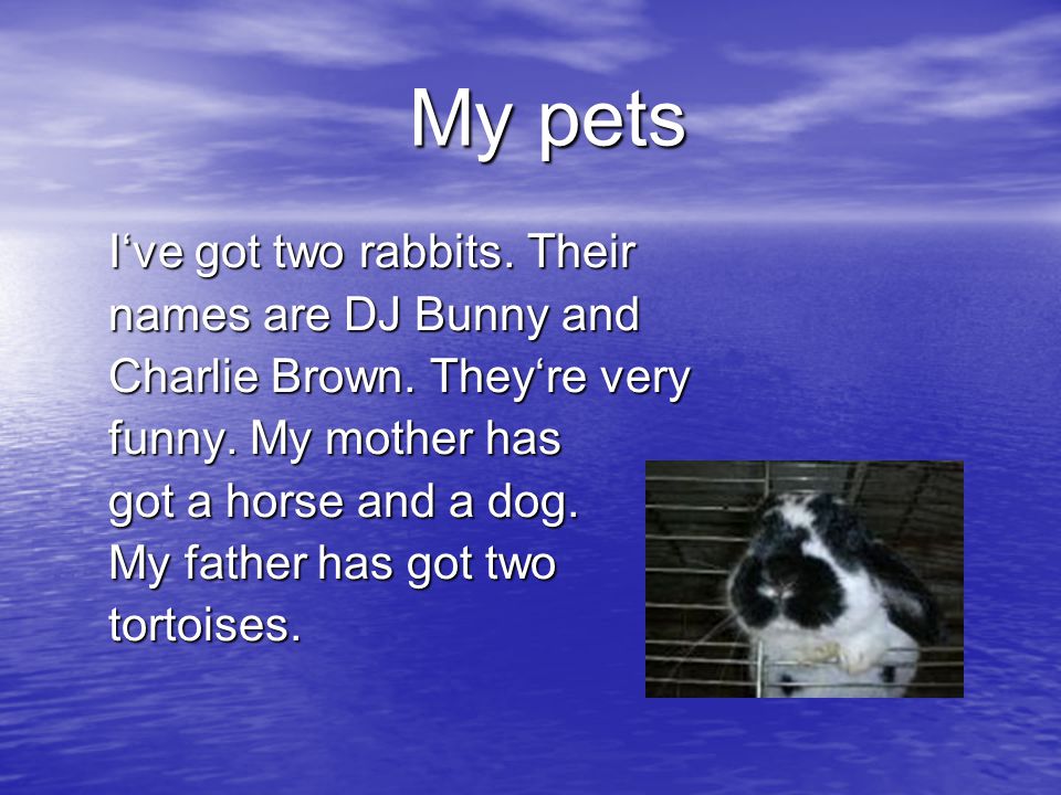 My pets I‘ve got two rabbits. Their names are DJ Bunny and Charlie Brown.