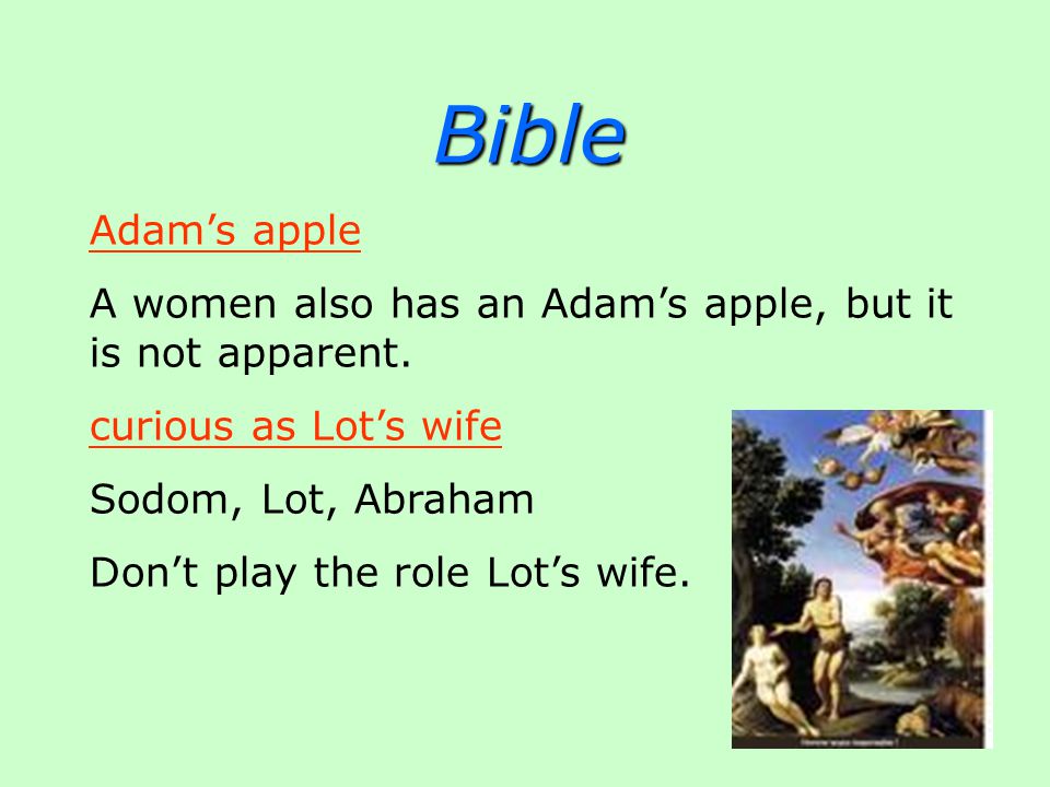 Bible Adam’s apple A women also has an Adam’s apple, but it is not apparent.