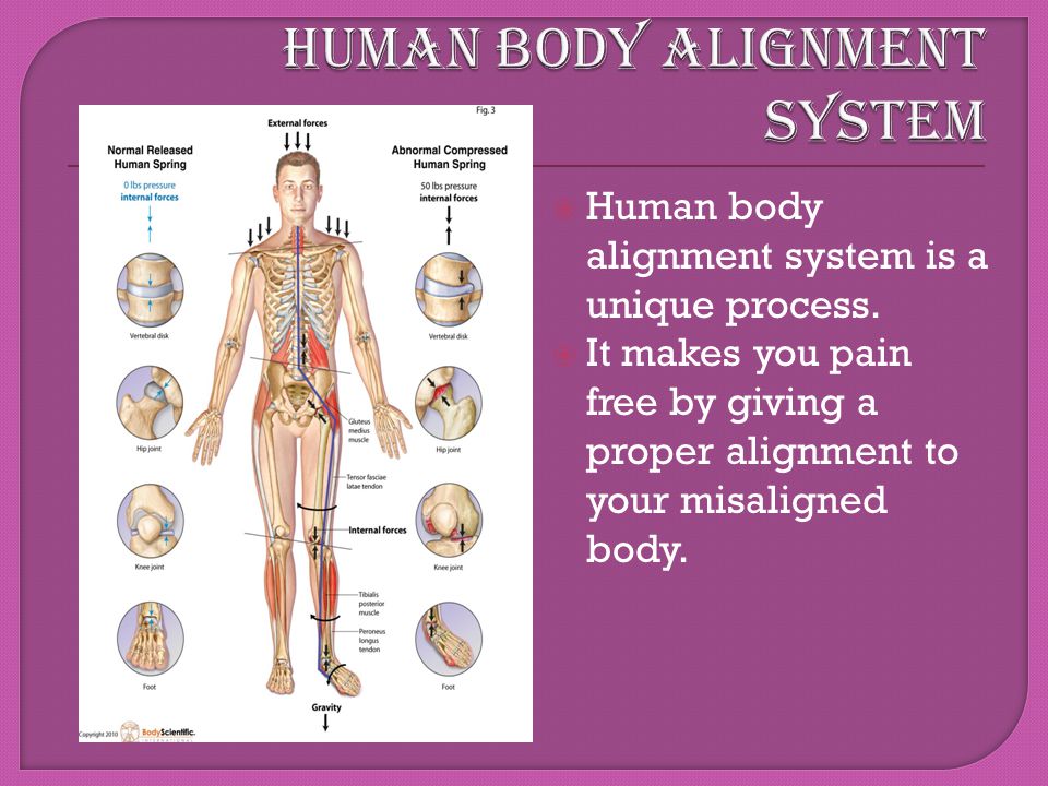 Human body alignment system is a unique process.  It makes you pain free  by giving a proper alignment to your misaligned body. - ppt download