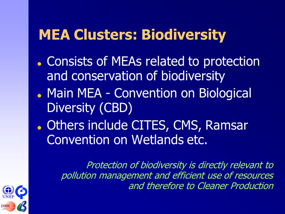 MEA Clusters: Biodiversity  Consists of MEAs related to protection and conservation of biodiversity  Main MEA - Convention on Biological Diversity (CBD)  Others include CITES, CMS, Ramsar Convention on Wetlands etc.