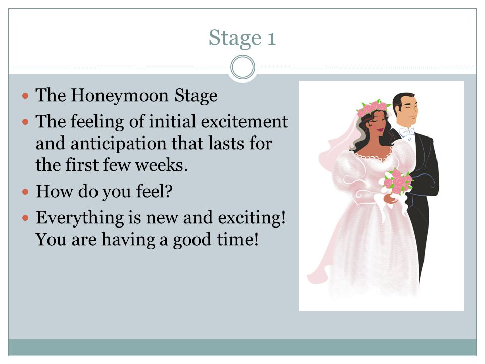 Stage 1 The Honeymoon Stage The feeling of initial excitement and anticipation that lasts for the first few weeks.