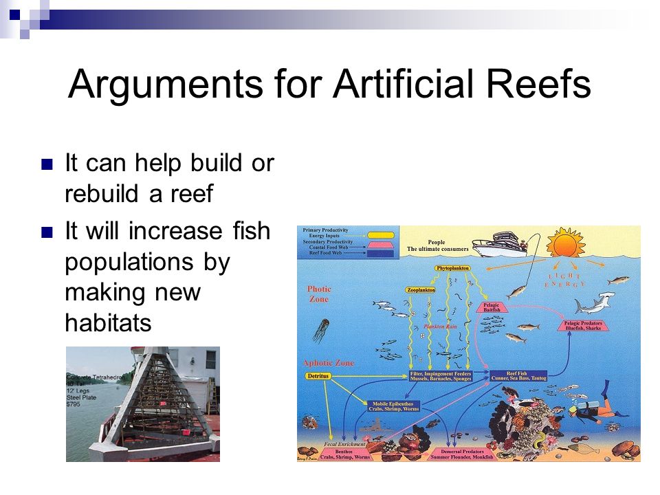 Arguments for Artificial Reefs It can help build or rebuild a reef It will increase fish populations by making new habitats