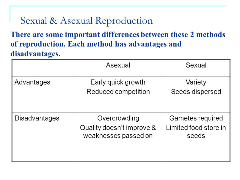 Advantages and disadvantages of asexual reproduction photos 30