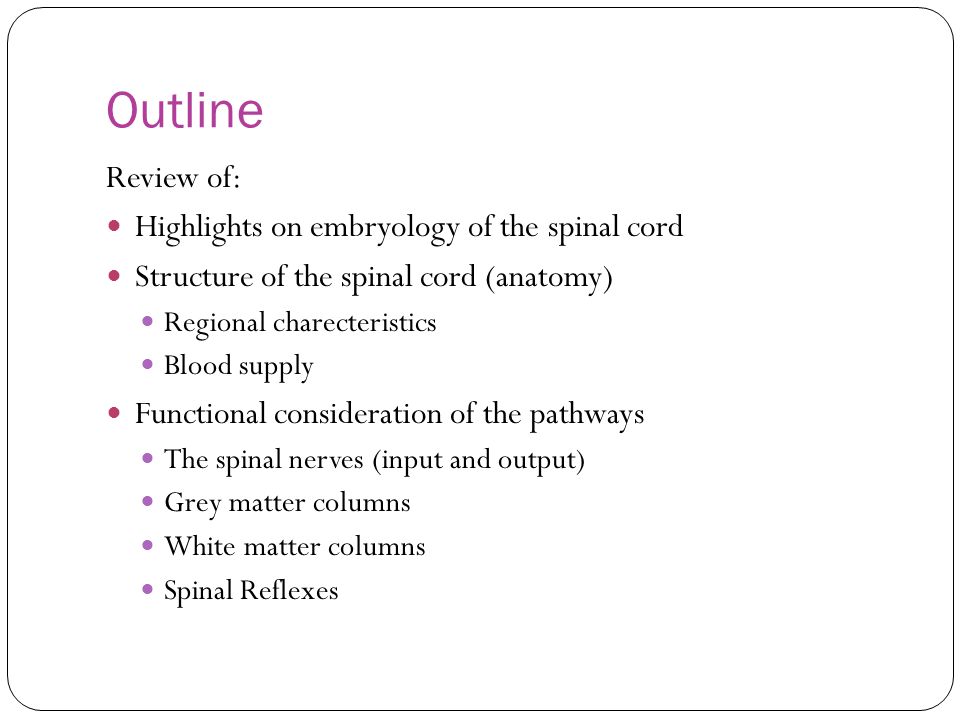 Outline Review of: Highlights on embryology of the spinal cord Structure of the spinal cord (anatomy) Regional charecteristics Blood supply Functional consideration of the pathways The spinal nerves (input and output) Grey matter columns White matter columns Spinal Reflexes