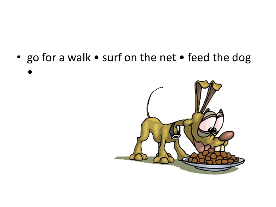 go for a walk surf on the net feed the dog