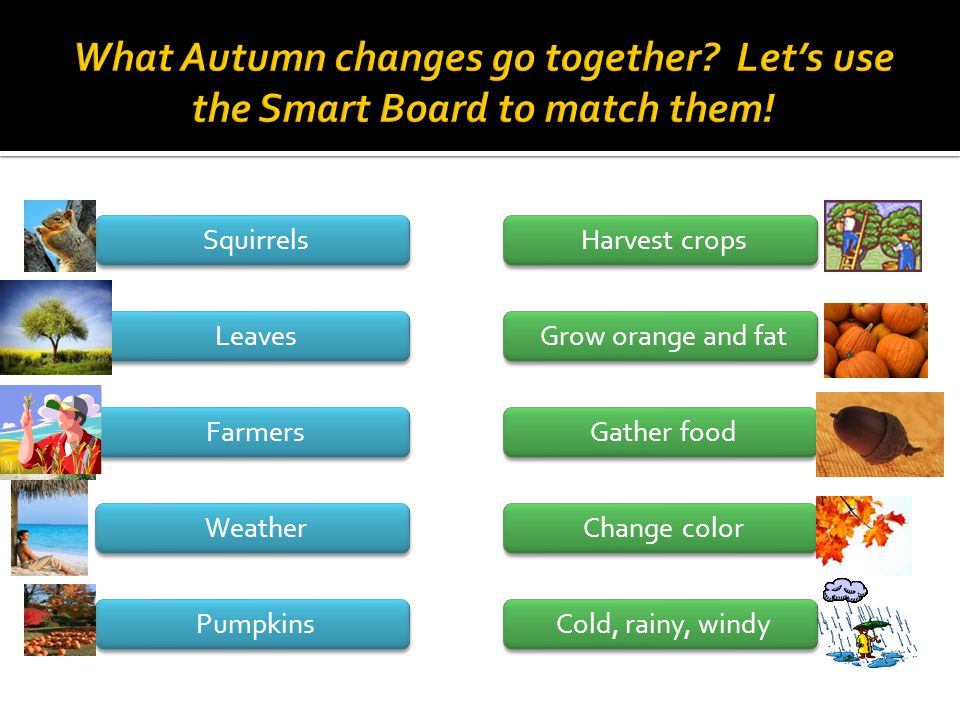 Squirrels Leaves Farmers Weather Pumpkins Harvest crops Grow orange and fat Gather food Change color Cold, rainy, windy