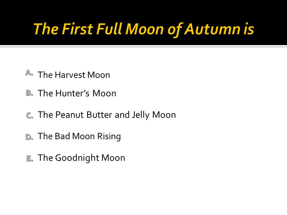 The Goodnight Moon The Bad Moon Rising The Peanut Butter and Jelly Moon The Hunter’s Moon The Harvest Moon
