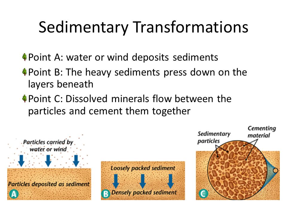 Point A: water or wind deposits sediments Point B: The heavy sediments press down on the layers beneath Point C: Dissolved minerals flow between the particles and cement them together Sedimentary Transformations