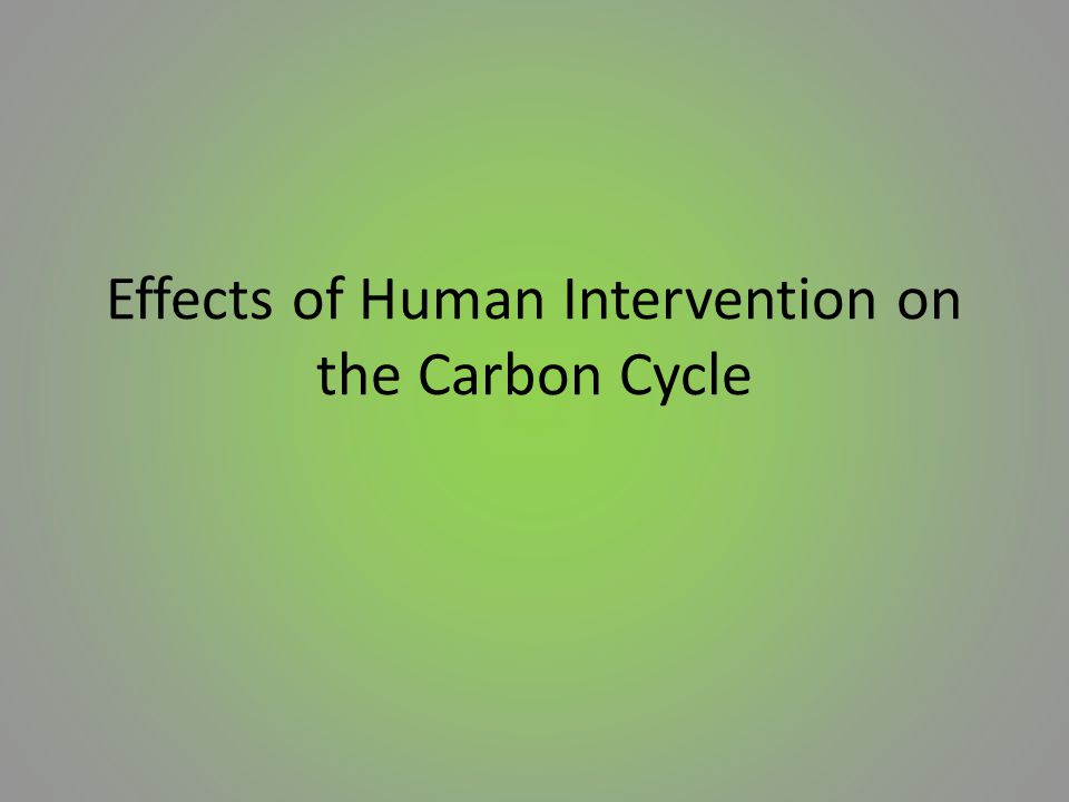 Effects of Human Intervention on the Carbon Cycle