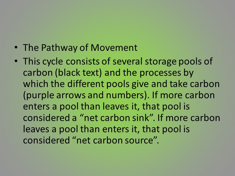 The Pathway of Movement This cycle consists of several storage pools of carbon (black text) and the processes by which the different pools give and take carbon (purple arrows and numbers).