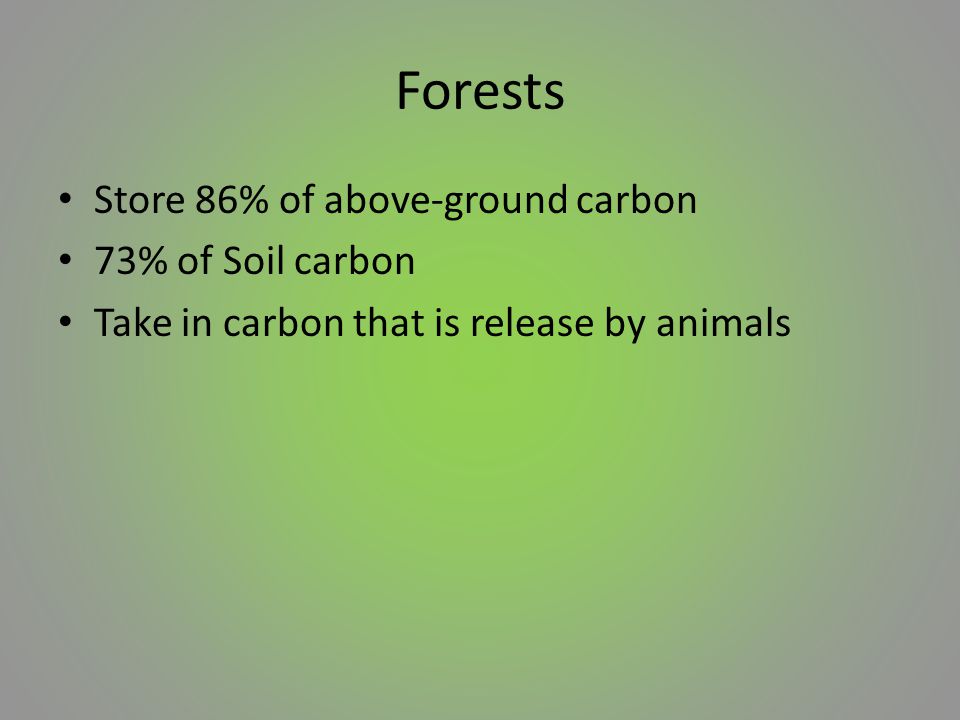 Forests Store 86% of above-ground carbon 73% of Soil carbon Take in carbon that is release by animals
