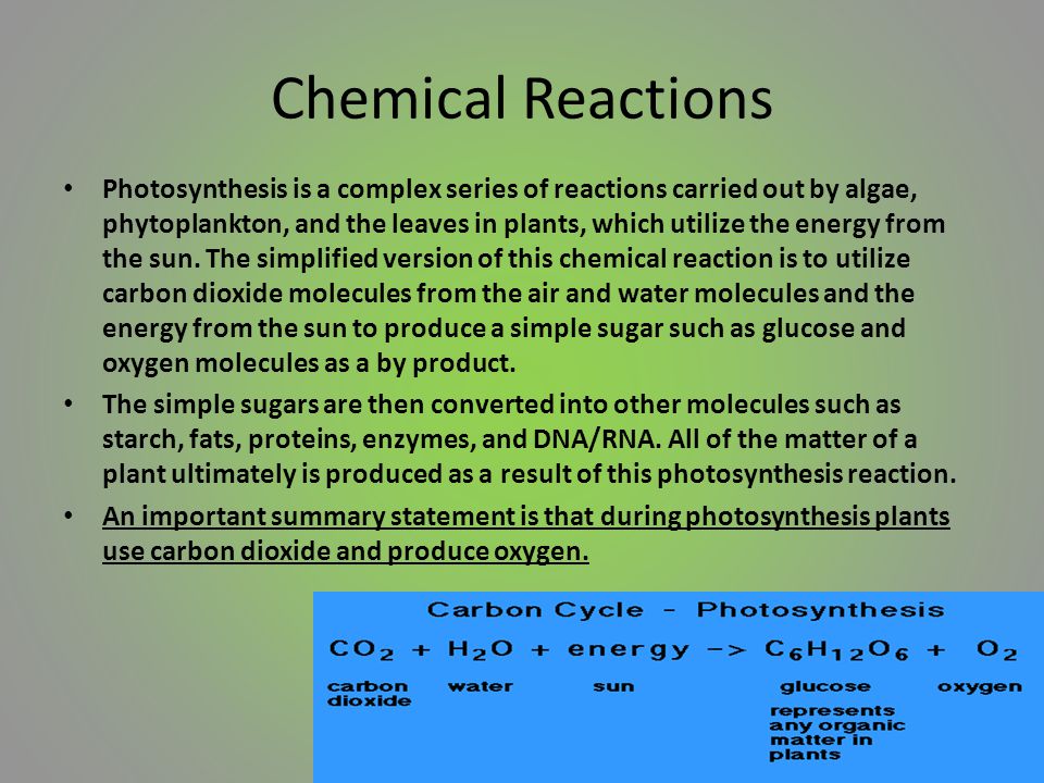 Chemical Reactions Photosynthesis is a complex series of reactions carried out by algae, phytoplankton, and the leaves in plants, which utilize the energy from the sun.