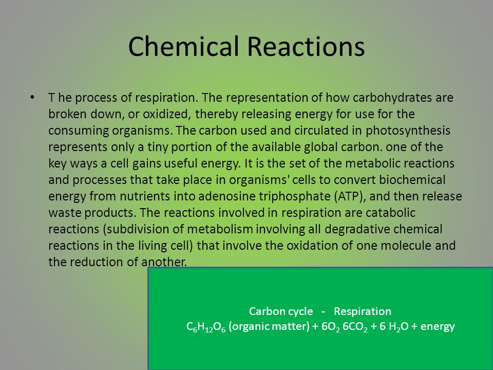 Chemical Reactions T he process of respiration.