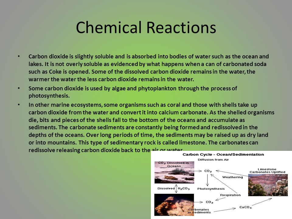 Chemical Reactions Carbon dioxide is slightly soluble and is absorbed into bodies of water such as the ocean and lakes.