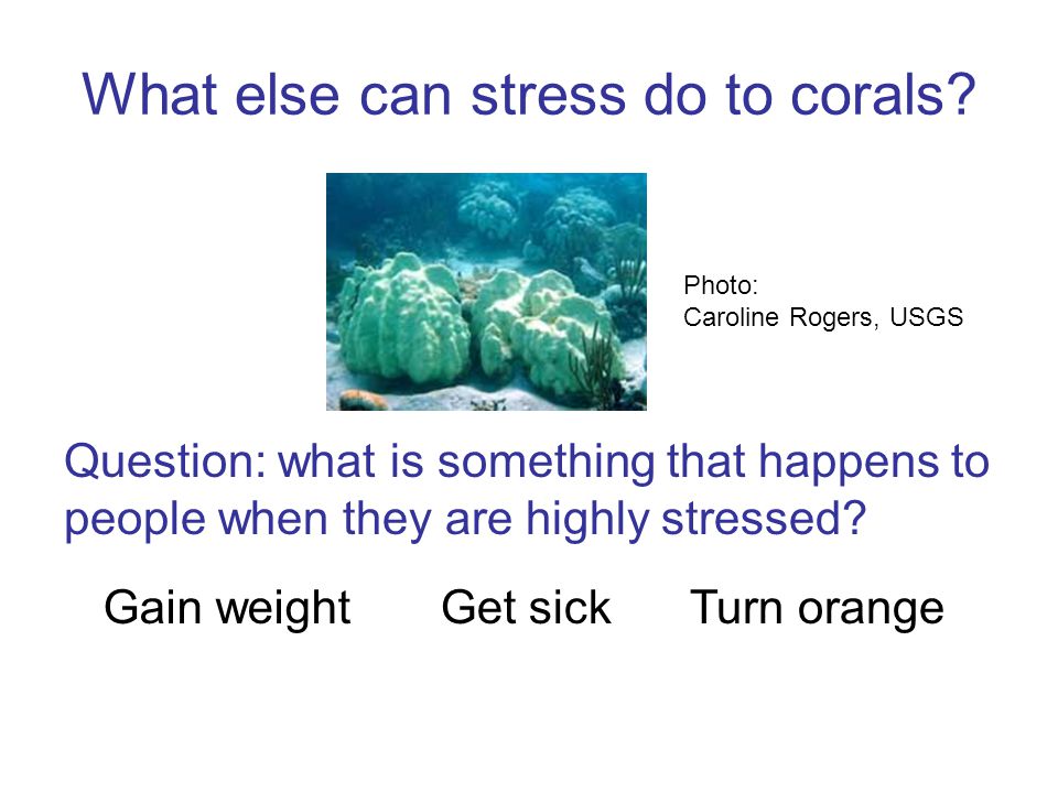 What else can stress do to corals.