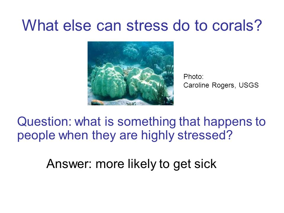 Question: what is something that happens to people when they are highly stressed.
