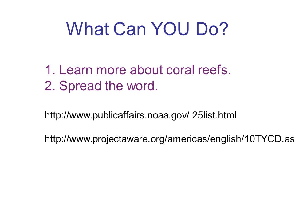 What Can YOU Do. 1. Learn more about coral reefs.