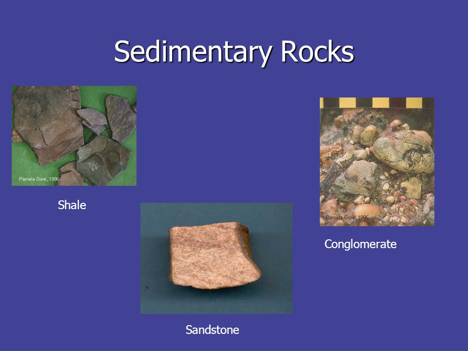 Sedimentary Rocks Shale Conglomerate Sandstone
