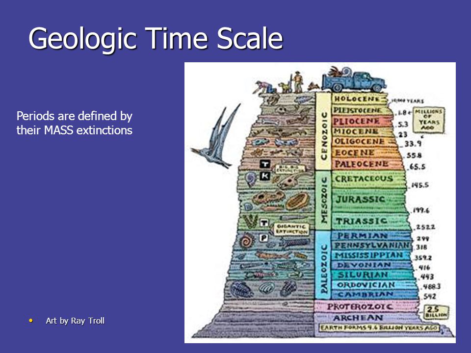 Geologic Time Scale Art by Ray Troll Art by Ray Troll Periods are defined by their MASS extinctions