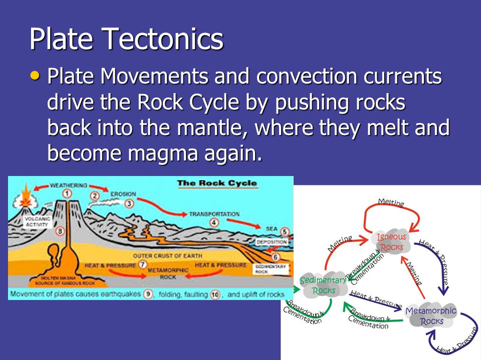 Plate Tectonics Plate Movements and convection currents drive the Rock Cycle by pushing rocks back into the mantle, where they melt and become magma again.
