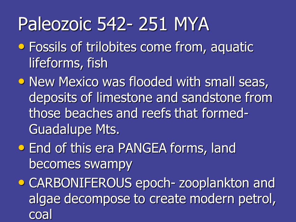 Paleozoic MYA Fossils of trilobites come from, aquatic lifeforms, fish Fossils of trilobites come from, aquatic lifeforms, fish New Mexico was flooded with small seas, deposits of limestone and sandstone from those beaches and reefs that formed- Guadalupe Mts.