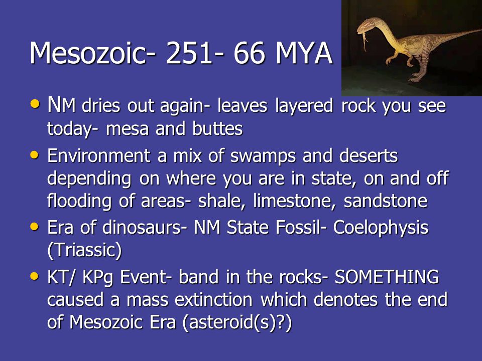 Mesozoic MYA N M dries out again- leaves layered rock you see today- mesa and buttes N M dries out again- leaves layered rock you see today- mesa and buttes Environment a mix of swamps and deserts depending on where you are in state, on and off flooding of areas- shale, limestone, sandstone Environment a mix of swamps and deserts depending on where you are in state, on and off flooding of areas- shale, limestone, sandstone Era of dinosaurs- NM State Fossil- Coelophysis (Triassic) Era of dinosaurs- NM State Fossil- Coelophysis (Triassic) KT/ KPg Event- band in the rocks- SOMETHING caused a mass extinction which denotes the end of Mesozoic Era (asteroid(s) ) KT/ KPg Event- band in the rocks- SOMETHING caused a mass extinction which denotes the end of Mesozoic Era (asteroid(s) )