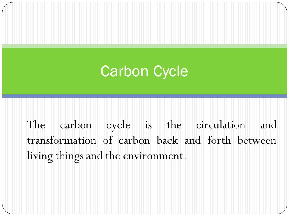 Carbon Cycle The carbon cycle is the circulation and transformation of carbon back and forth between living things and the environment.