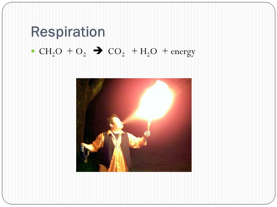Respiration CH 2 O + O 2  CO 2 + H 2 O + energy