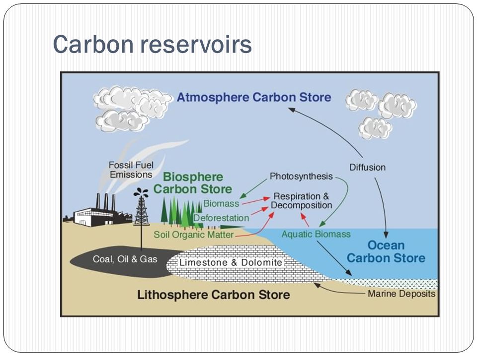 Carbon reservoirs