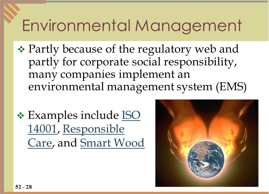 Environmental Management  Partly because of the regulatory web and partly for corporate social responsibility, many companies implement an environmental management system (EMS)  Examples include ISO 14001, Responsible Care, and Smart WoodISO 14001Responsible CareSmart Wood
